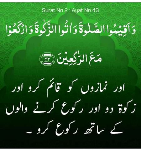 Islamic Quotes image