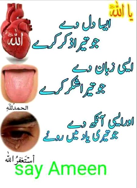 💕💕💕💖💖💕💕💕