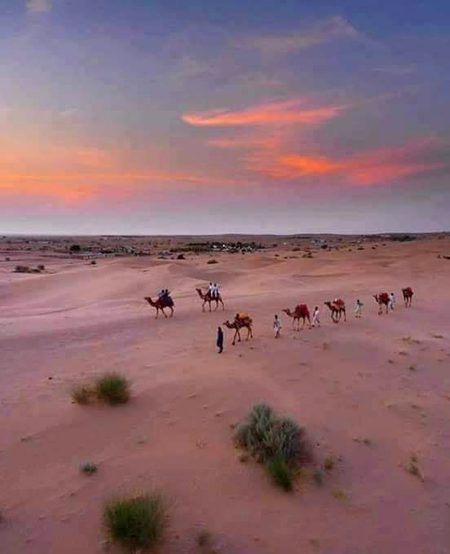 Sunset Tharparkar
Sindh, Pakistan 🇵🇰

جب بہار آئی تو صحرا کی طرف چل نکلا
صحنِ گل چھوڑ گیا، دل میرا پاگل نکلا