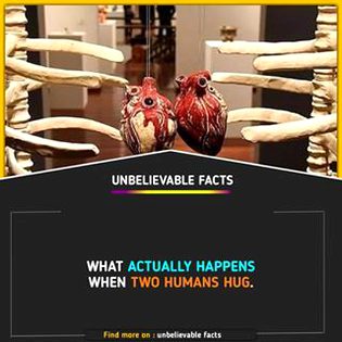 Did you Know