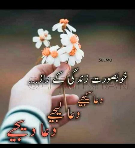 KOIE HY..G
