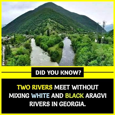 Did you Know