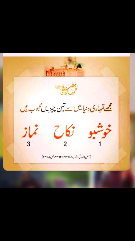 قال_أمير_المؤمنين:

ليسَ الجَمالُ بِأَثوابِ تُزَيَّنُنا
    إنِّ الجَمالَ جَمالُ العَقلٍ وَالأَدَبِ

لَيسَ اليَتيمُ الّذي قَد ماتَ والِدُهُ
      إنَّ اليَتيمَ يَتيمُ العِلمِ وَ الأَدَبِ