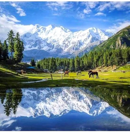 Beautiful Nature image