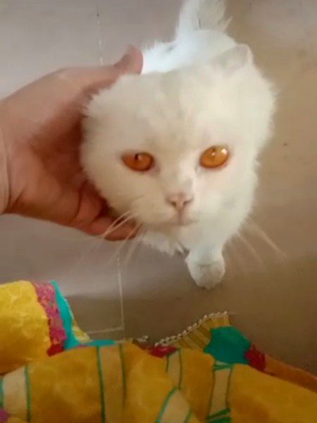 Beautiful Nature image