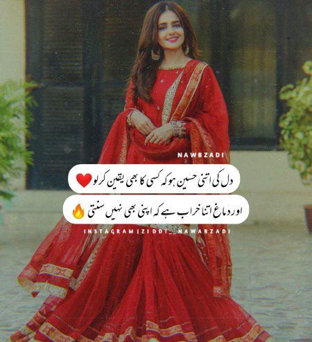 اپنی بھی نہیں سنتی