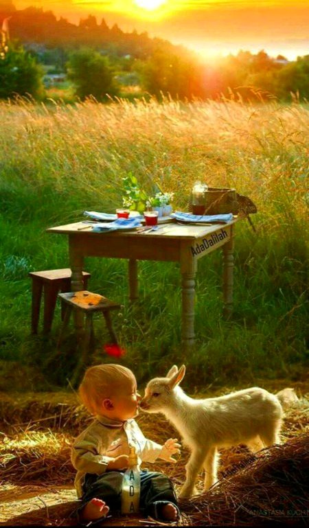 beautiful photography😍