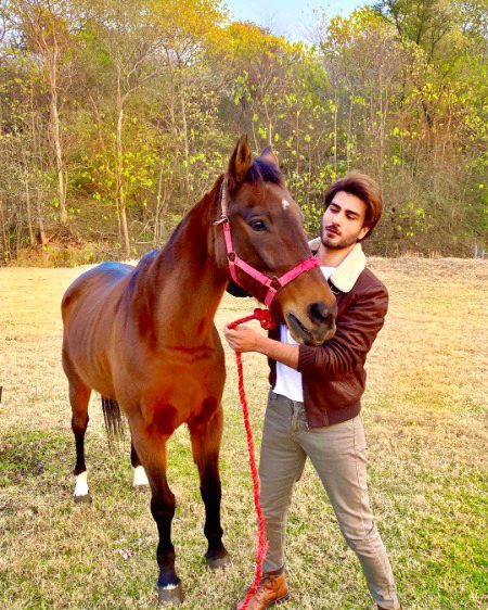 Pakistani Celebs image