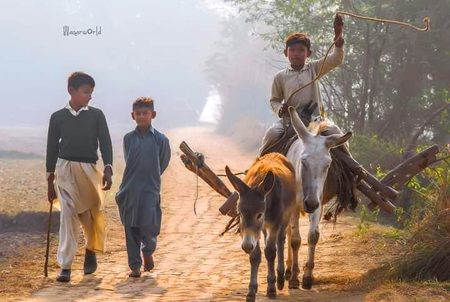 کبھی کبھی تو چھلک پڑتی ہیں یوں ہی آنکھیں 
اداس ہونے کا کوئی ______سبب نہیں ہوتا!!