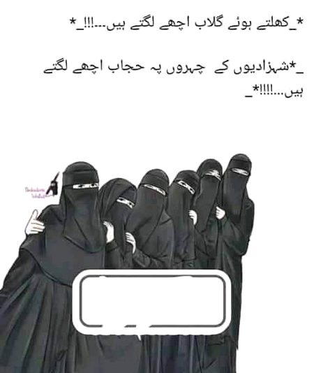 اسلام کی شہزادیاں۔۔