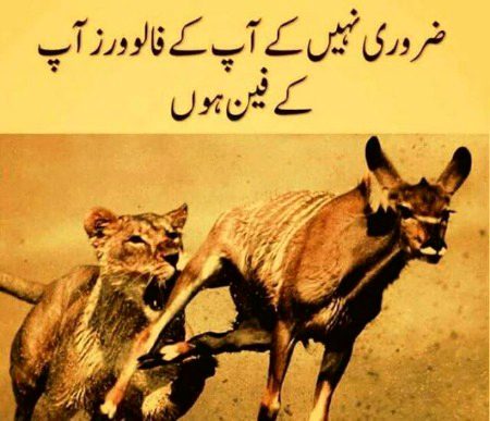 Waqai😑😑😑