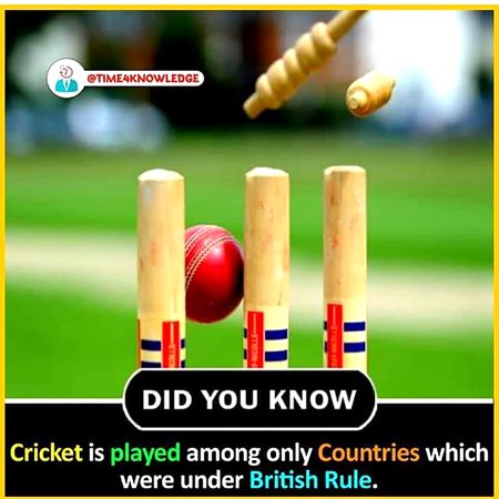 Did you Know
