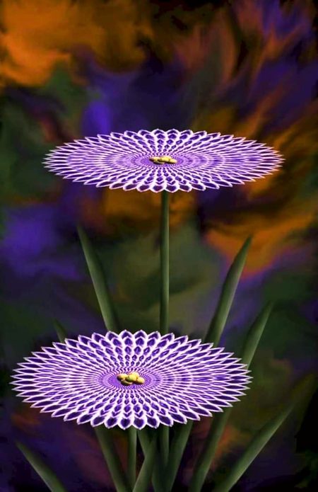 Have you ever seen such a rare and unusual flower😊😊