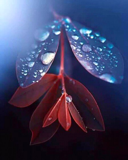 کبھی کبھی ہم بڑے بڑے دکھ خاموشی سے سہہ لیتے ہیں۔ اور کبھی ایک چھوٹی سی بات پر ٹوٹ جاتے ہیں۔