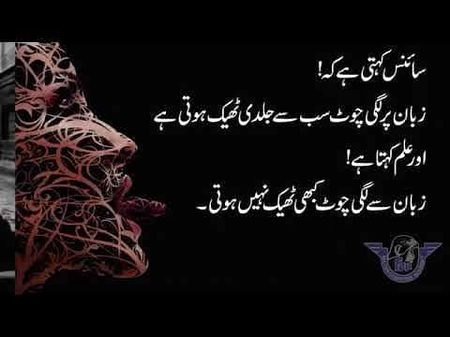 Is bary me ap.logo ke.kya rae hai