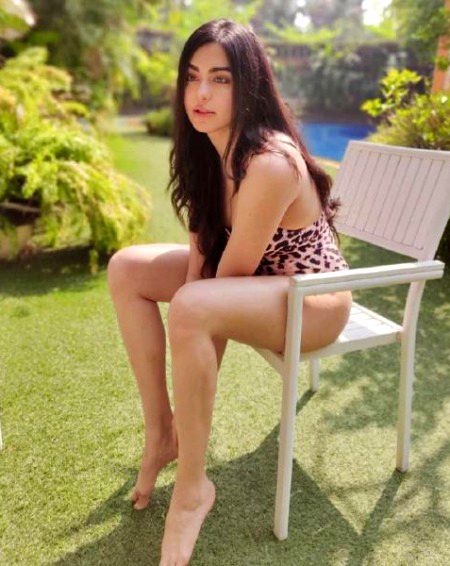 Indian Celebs image
