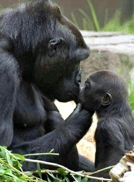 Mother's love has no boundries😊😊