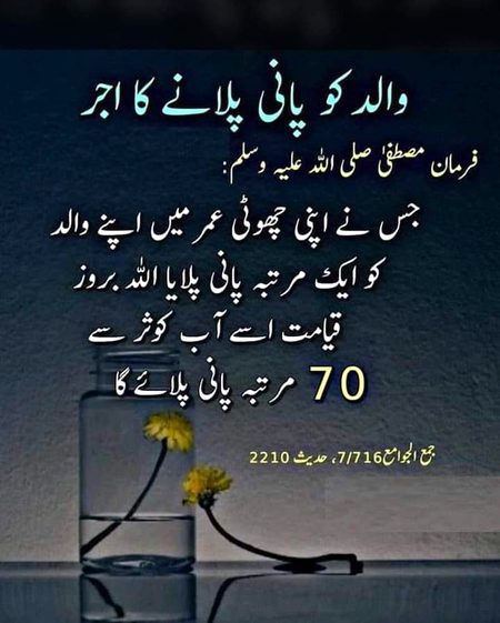 AnaS SinDhi