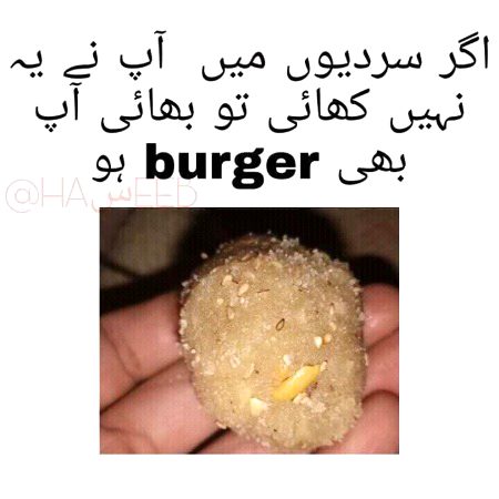 burgur log