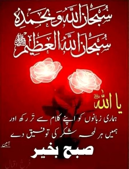 .q1😍😘👌🤗😇🤲🤲🤲🤲 ameen sumameen