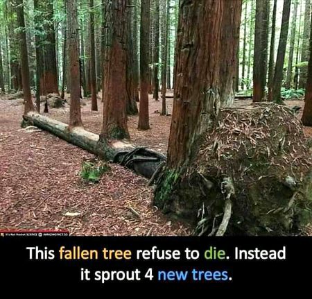 Be strong every time