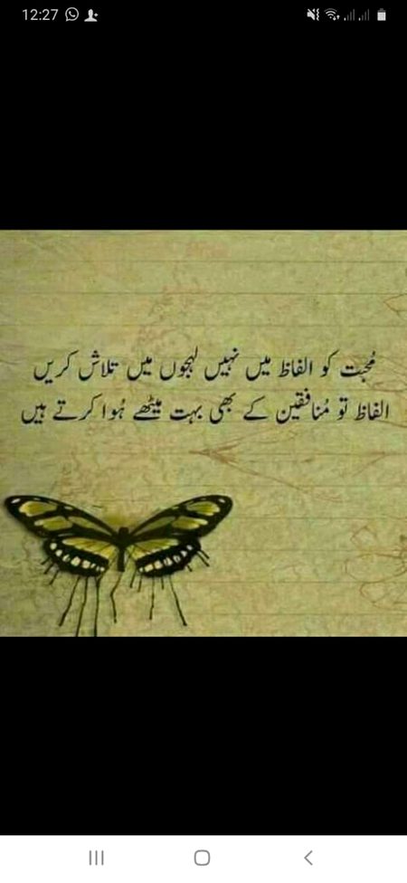 Bilkul ✌️✌️✌️