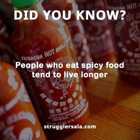 Did you Know