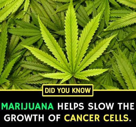 Did u know