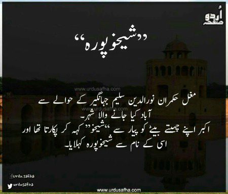 🍁🍁اردو صفحہ🍁🍁
