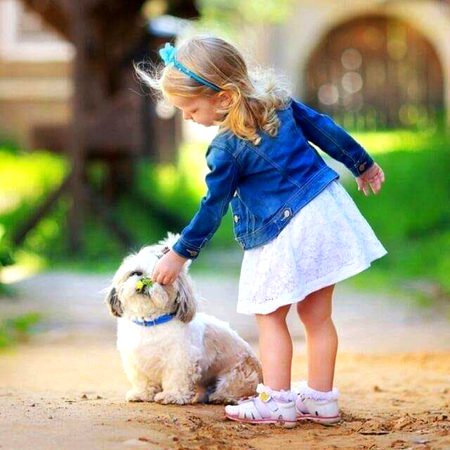 ممکن ہیں زندگی کے معنی کچھ اور بھی 
لیکن مری بساط میں جتنی ہے تجھ سے ہے۔۔