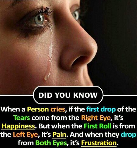 Did you Know