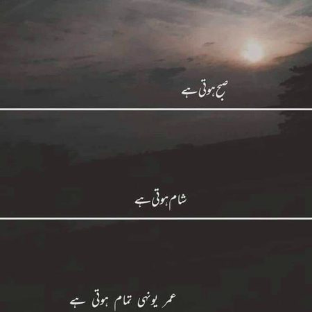 Or duniya to bs Ek khwab hy 🎯