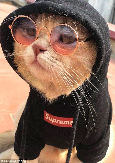 GOoD EvEng Bai SarDii to OSuM h nd MoSam JakaS He Kya BolTe hO PgLs😜😜