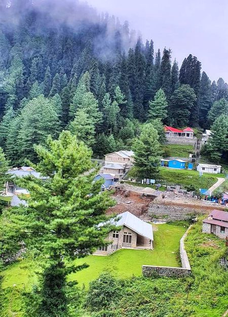 Beautiful Nature image