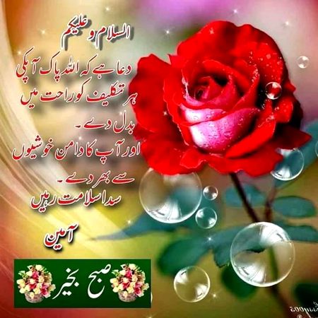 Assalam o Alaikum subha khair💕