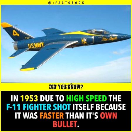 Did you Know
