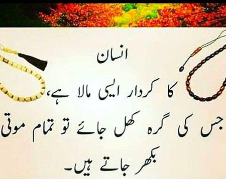 bilkul 🌷🍀🌷🍀🌷