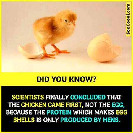 Did  you Know