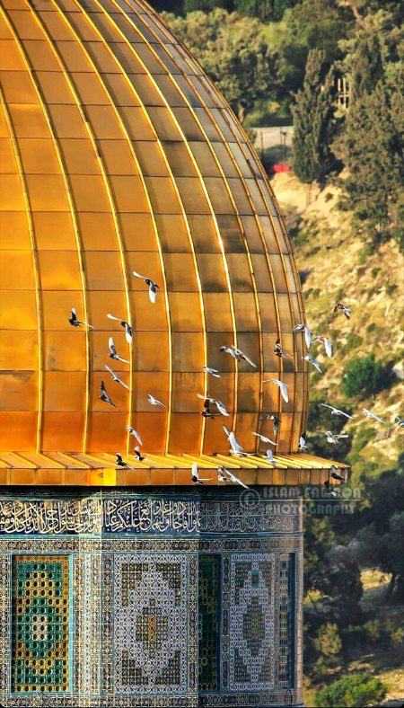 Beautiful Structures image