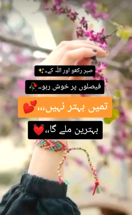 بس تم سے گفتگو ہو فقط😍
دنیا کی چاہتوں سے مطلب نہیں مجھے❣️