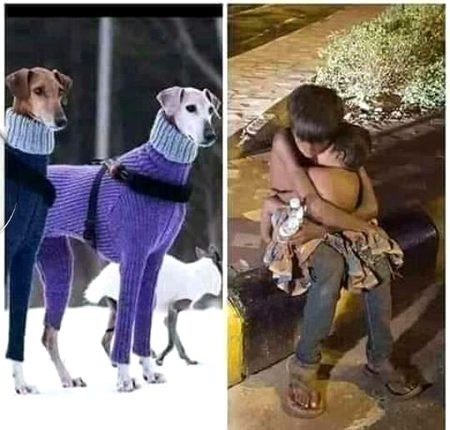 عجیب رسم ہے چارہ گروں کی محفل کی
لگا کر زخم نمک سے مساج کرتے ہیں
غریب شہر ترستا ہے اک نوالے کو
امیر شہر کے کتے بھی راج کرتے ہیں😞