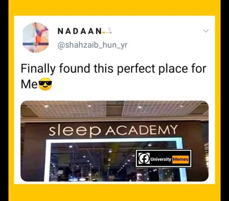 Memes & Satire image