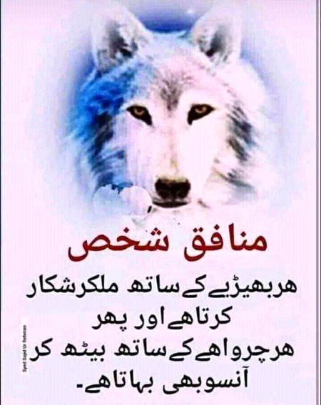 Bilqul Sahi baat hai