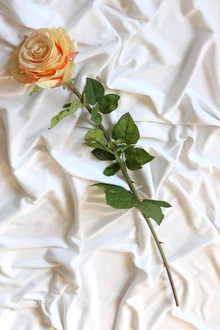 ﻣﺤﺒﺖ ﺍﯾﮏ ﺍﯾﺴﺎ ﺟﺬﺑﮧ ﮨﮯ
ﺟﺲ ﮐﮯ ﺳﺎﻣﻨﮯ
ﺍﭼﮭﺎﺋﯽ ﺑﺮﺍﺋﯽ
ﮐﻤﯽ ﺑﯿﺸﯽ
ﺍﻭﻧﭻ ﻧﯿﭻ
ﺳﺐ ﺑﯿﮑﺎﺭ ﮐﯽ ﺑﺎﺗﯿﮟ ﮨﯿﮟ
