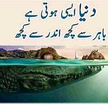 🍁Zoq_Shab🍁