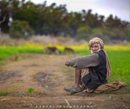 Apno ny he sikhaya hy..... 

Murshid.....

K koi apna nhe hota... 😏