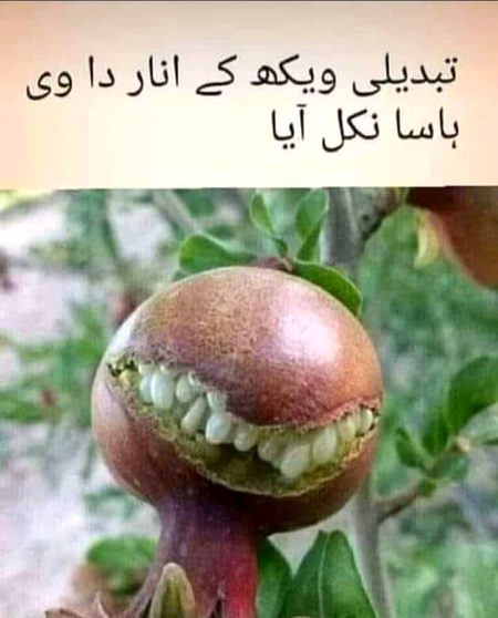 Tabdeeli ...