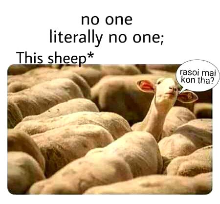 Ops laughed to see ..