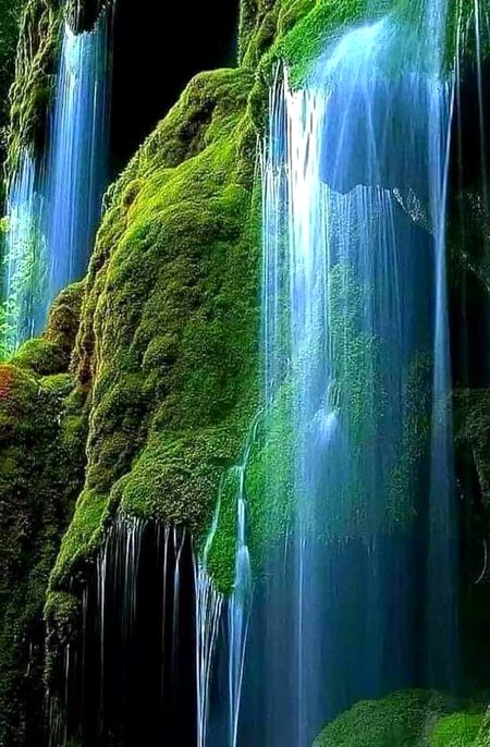 Beautiful Nature image