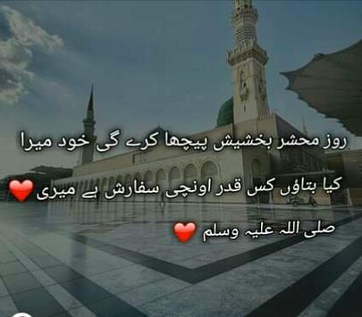 💐💐💐🌷🌷🌷🍀🍀🍀🌹🌹🌹